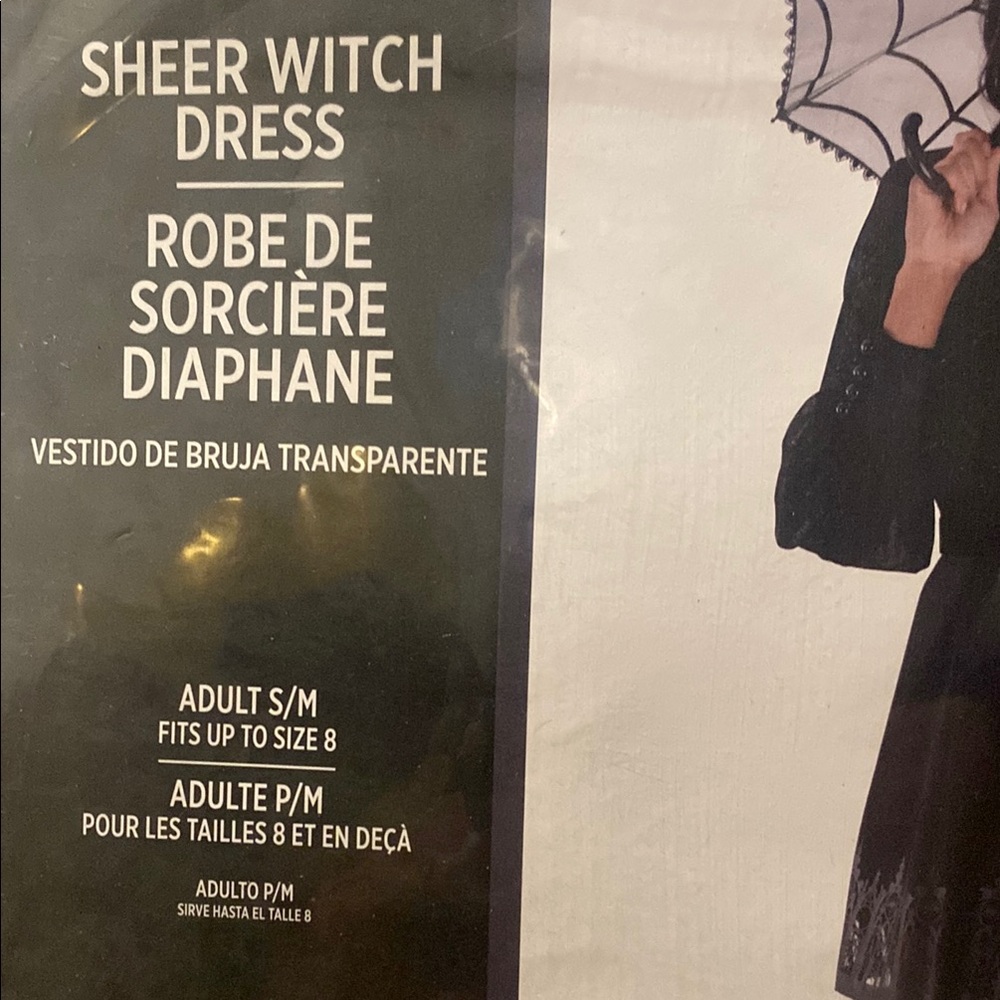 Sheer Black Witch Dress - Picture 3 of 5